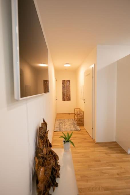 וינה Schoenes Living Am Donauufer מראה חיצוני תמונה